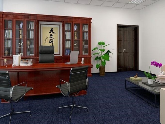 大型咖啡红龙如何喂养