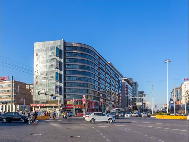 大型咖啡红龙如何喂养